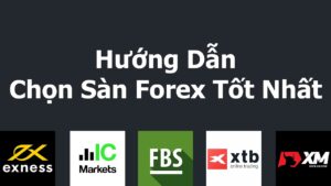 Cách chọn sàn Forex uy tín dành cho người mới